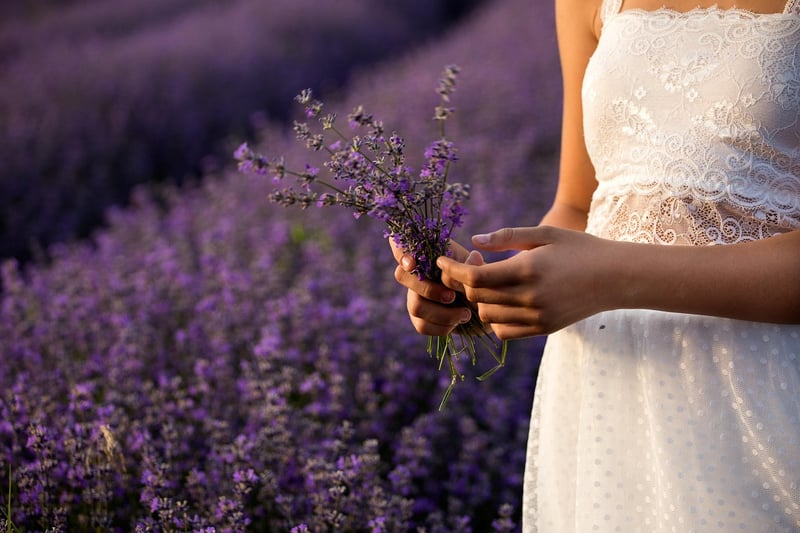 Romantic Garden